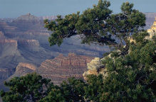 Grand Canyon Thumbnail      